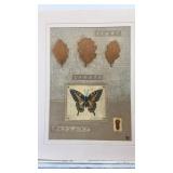 Butterfly Print �Light, Create, Forever� Butterfly Print �Light, Create, Forever�