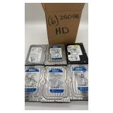 Western Digital, Seagate Hard Drives 250GB Qty 6