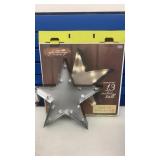 Light up Star by Apothecary 13Inches Metal LED