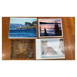 Wildlife Landscape Photography Prints