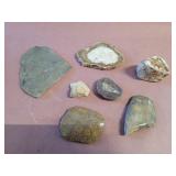 Petoskey stones, fossils and petrified wood