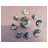 Goniatite or Ammonite fossil pendants.