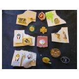 Lapel pins