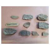 Plant fossils