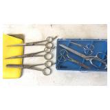 Scissors and shears
