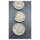 Buffalo Head Nickels