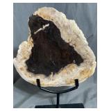 Petrified Wood Slab 8.5x8x.75 in