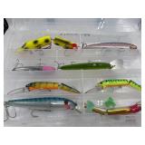 Bright Modern Jointed and Deep Diver Lures