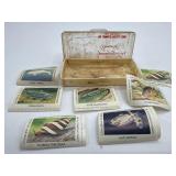 Vintage Wildlife Federation Stamps Lot