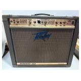 Peavey Ecoustic 112 Guitar Amp
