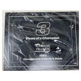 Dale Earnhardt "3 Views of a Champion" 1993