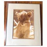 Framed Lion Cub Photograph