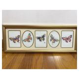 Framed Butterfly Needlework