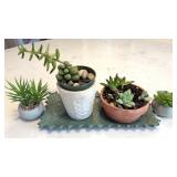 Handmade Pottery Tray w/ Real & Artificial