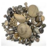 Great Lakes Fossil Collection