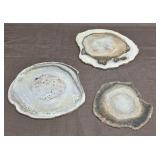 Petrified Palm Wood Slice Stone Trio