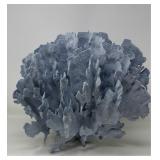 Large Natural Sea Fan Coral Specimen16x13x13