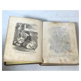Antique 1864 Minnie & Her Pets Children's Book
