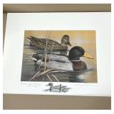 Larry Hayden Waterfowl Art Print