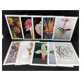 Botanical Art Print Set of 10 Jennifer Lis 8x10