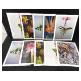 Botanical Art Print Set of 10 Jennifer Lis 8x10