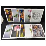 Botanical Art Print Set of 10 Jennifer Lis 8x10