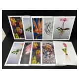 Botanical Art Print Set of 10 Jennifer Lis 8x10