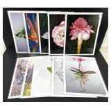 Botanical Art Print Set of 10 Jennifer Lis 11x14
