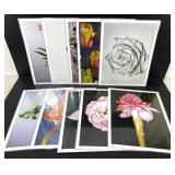 Botanical Art Print Set of 10 Jennifer Lis 11x14