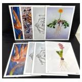 Botanical Art Print Set of 8 Jennifer Lis 11x14