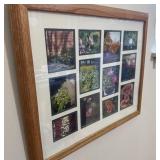 Framed Garden Plant Photo Collage