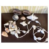 Seashells & Shell Necklace