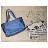 Relic Blue & Striped White Handbags Purses