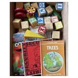 Wood Blocks & Kids Books Lot
