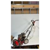 Briggs & Straition Edger 35 x 45"