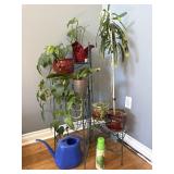 Houseplants With Metal Plant Stand
