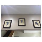 Wine Art Print Grape Pinot Noir Wall Trio