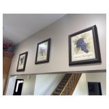 Wine Art Print Grape Pinot Noir Wall Trio