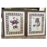 Botanical Rose Framed Art Print Pair Goldberger