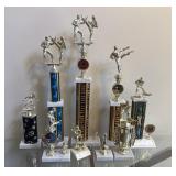 Sports Trophy Collection