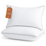 Sasttie Queen Pillows Set of 2