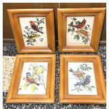 Harry Vincent Bird Botantical Lithograph Prints