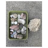 Rock, Fossil & Coral Collection +