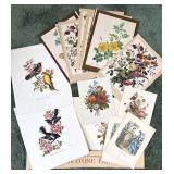 Vintage Floral & Bird Art Print Collection