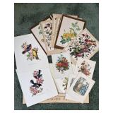 Vintage Floral & Bird Art Print Collection