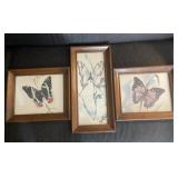Framed Butterfly Wall Art Set of 3