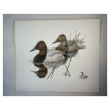 **Larry Hayden Signed Canvasbacks Print: Limited