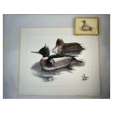 Larry Hayden Red-Breasted Mergansers Print: