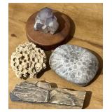 Petoskey Stone Petrified Wood Amethyst & Coral