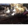 10/14/2025 Weekly Estate Auction